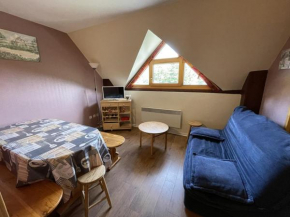 Charmant T2 cabine au pied des pistes - 4 pers - FR-1-787-32